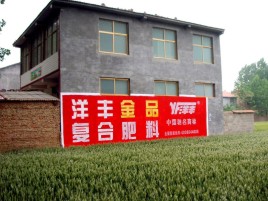  石狮如何让墙体广告展现最大化效果