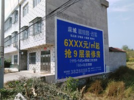  石狮墙体广告质量分析