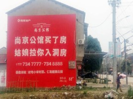  石狮墙体广告在乡镇、农村市场的媒体优势