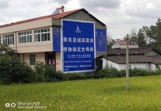  石狮决定墙体广告价格的因素有哪些？