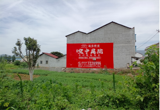  石狮做墙体广告的意义